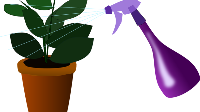 コスモスの育て方は種まき摘心がポイント 花が咲かないときは サトマガ