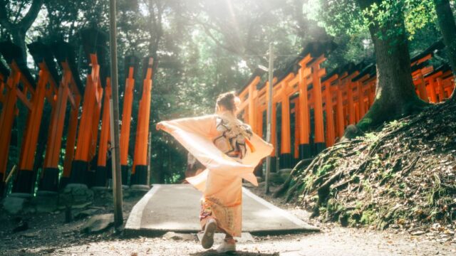 着物姿で神社の鳥居を歩く様子