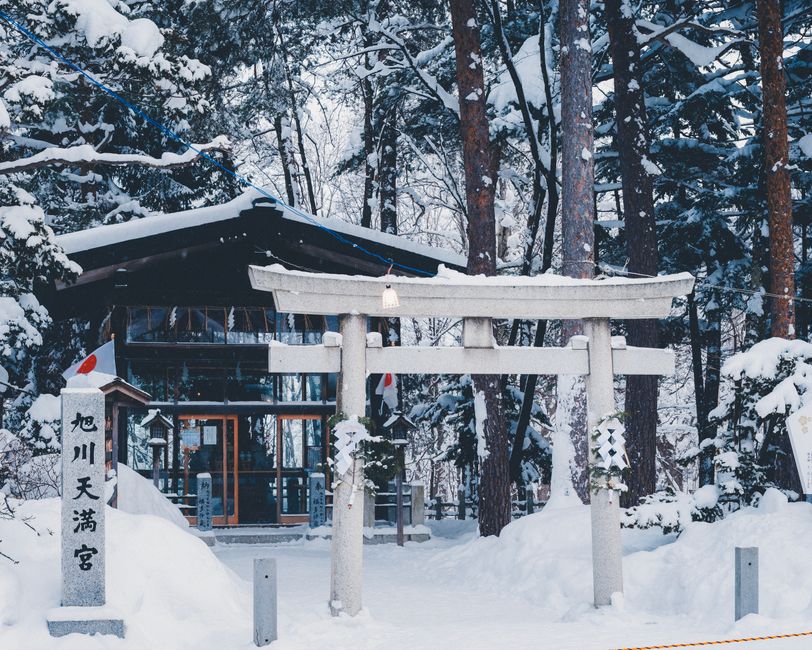 冬の朝の神社の鳥居