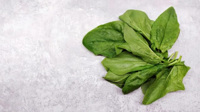 木のテーブルに置かれた新鮮なほうれん草の束
